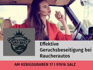 KFZ Geruchsbeseitigung: Rauchgeruch im Auto dauerhaft entfernen - Bad Neustadt (Saale) Zentrum