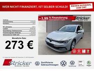 VW Golf Variant Life 2.0TDI DSG 273,-ohne Anzahlun - Horn-Bad Meinberg