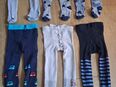 6 Strumpfhosen für Jungs Gr.86/92 von Alive in 53639
