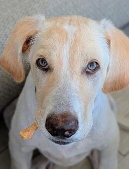 Neo wartet auf seine Familie - Grevenbroich