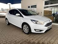 Ford Focus, Titanium Klimatr WinterPaket, Jahr 2015 - Glauchau