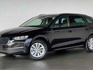 Skoda Octavia, 2.0 TDI IV Combi Selection SELECTION, Jahr 2024 - Bützow