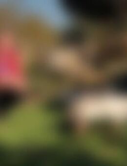 Dör*** - Beetzendorf