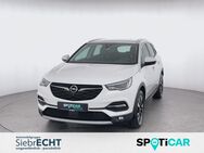 Opel Grandland X, Business Elegance Plug-in-Hybrid, Jahr 2021 - Holzminden