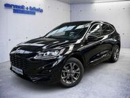 Ford Kuga ST-LINE X 1.5 EcoBoost *NAVI*AHK*LED*TWA* - Freiburg (Breisgau)