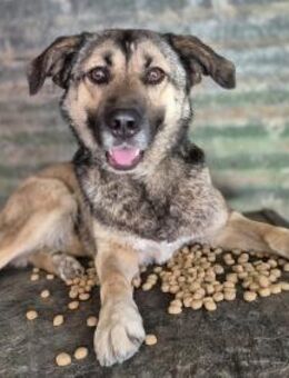 die schöne Nena - Rambin