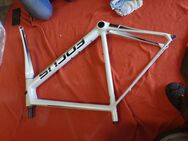 Rahmen Izalco Race Size XL 600mm Stack 588mm Reach 415mm sehr gut - Rödermark Zentrum