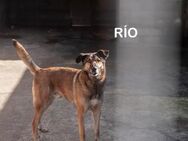 Rio - sucht aktive Menschen - Berlin