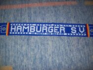 Hamburger SV - Erwitte