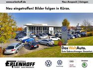 VW Polo, 1.0 TSI OPF DSGückfahrkamera, Jahr 2023 - Neu Anspach