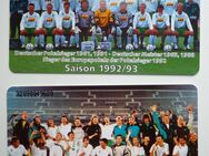 Fanartikel SV Werder Bremen Saison 1992/1993 Pokalsieger 1992 - Frankfurt (Main)