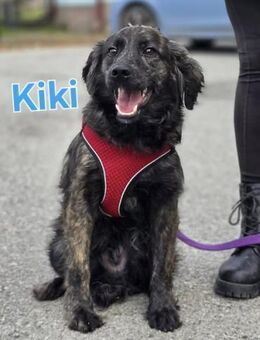 ❤️ Kiki - Kissing