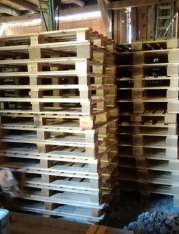 Paletten 120 x 100 cm neuwertig zu verkaufen - Kastl (Landkreis Amberg-Sulzbach)