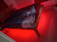 Selbstgebautes Bett zu Verkaufen (220x160 - Berne