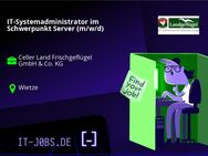 IT-Systemadministrator im Schwerpunkt Server (m/w/d) - Wietze