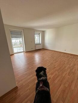 ** Geräumige 1 Zimmer Wohnung - Betreutes Wohnen möglich! ** - Limbach-Oberfrohna