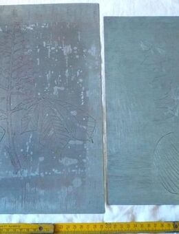 alte Druckplatten, Kunstdruck, floral - Flensburg