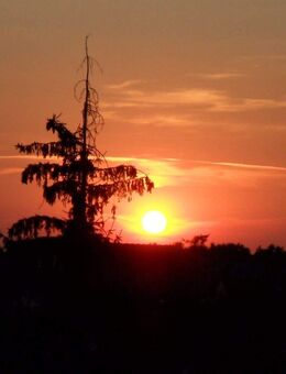IHR NEUES ZUHAUSE IM GRÜNEN INKLUSIVE ROMANTISCHER SONNENUNTERGÄNGE - TEL.: 01714863595 - Chemnitz