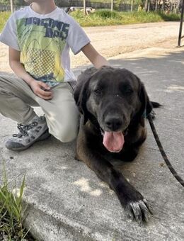 Schau in diese sanften Augen = ALMA♥️ - München
