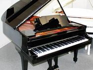 Flügel Klavier Steinway & Sons M-170, schwarz poliert, restauriert - Egestorf