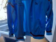 Trainingsanzug Marke Puma - Sachsenheim