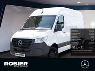 Mercedes Sprinter, 317 Kasten L2 H2, Jahr 2024 - Stendal (Hansestadt)