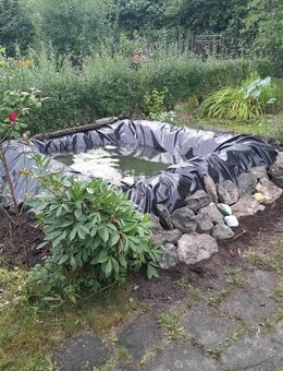Biete Teichpflege, Auflösung, Reinigung, im und um den Teich - Chemnitz