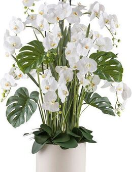 Kunstorchidee Orchidee Phalaenopsis, Creativ green, Höhe 140 cm, mit Gräsern und Splitphilo-Blättern