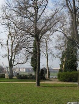 Kleine 2 Zimmer Wohnung mit TG, Fahrstuhl und EBK in zentraler Lage - Dresden