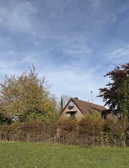 Charmantes Haus in Alleinlage von Ilshofen! Mit großem Grundstück! - Ilshofen