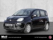 Fiat Panda, Mild Hybrid City Paket Cinema Schwarz, Jahr 2024 - Euskirchen