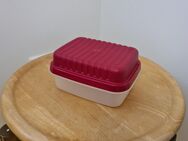 Tupper Tupperware Brotdose Käsebox große Frühstücksdose Vintage Bäckermeister - Essen