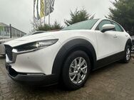 Mazda CX-30, Exclusive-Line DASO, Jahr 2023 - Waren (Müritz)