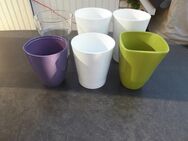 Keramik Orchideentöpfe Ikea Übertöpfe weiß grün lila Glas 6 Blumentöpfe zus. 4,- - Flensburg