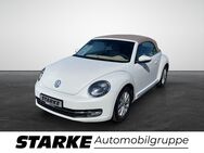 VW Beetle, 1.4 TSI Cabriolet Design, Jahr 2014 - Vechta