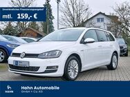 VW Golf Variant, 1.6 TDI Golf VII Cup, Jahr 2015 - Backnang