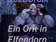 Ein Ork in Elfendorn von Gerome Delacroix - Saarbrücken