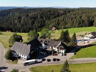 V. Privat 12 teilmöb. Einzelwhg in naturnaher Lage in Furtwangen mit wunderv.Ausblick & Garten - Furtwangen (Schwarzwald)