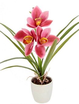 Kunstblume Orchidee, I.GE.A., Höhe 32 cm, Mit Blätter im Topf aus Keramik Künstliche Blume Cymbidium-Orchidee