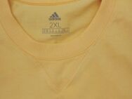 Adidas Set T-Shirt Shorts. - Duisburg