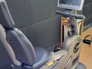 TechnoGym Liegefahrrad Recline EXC 500iSP - Rodenbach (Hessen)