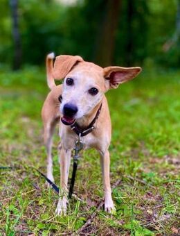 Masha❤️sucht Pflege- oder Endstelle - Rott (Inn)