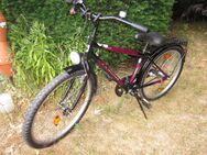 Kinderrad "Pegasus", Farbe bordeauxrot, Felgengröße 24'' - Dormagen