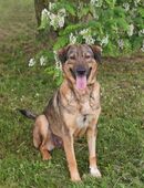 SMILEY - freudig komme ich dir entgegen in 51491