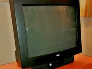 Röhren-Fernseher Loewe Concept 550 (Retro) - Wilhelmshaven