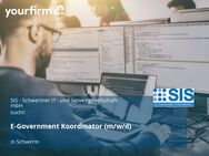 E-Government Koordinator (m/w/d) - Schwerin