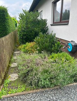 Gartenpflege in Misburg gesucht - Hannover Buchholz-Kleefeld