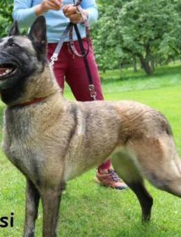 Rosi - verspielt, verschmust und ... - Kissing