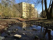 Renovierte 4-Zimmer-Wohnung mit Balkon in Goslar - Goslar