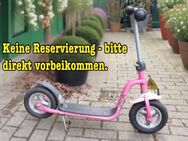 PUKY TRETTROLLER - AB 2 JAHREN Höhe Ca. 70 cm - Frankfurt (Main)